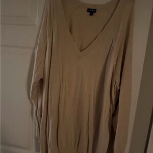 Torrid Beige Knit V-Neck Top